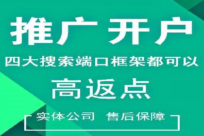 某公司SEM推广的失败教训与成功经验